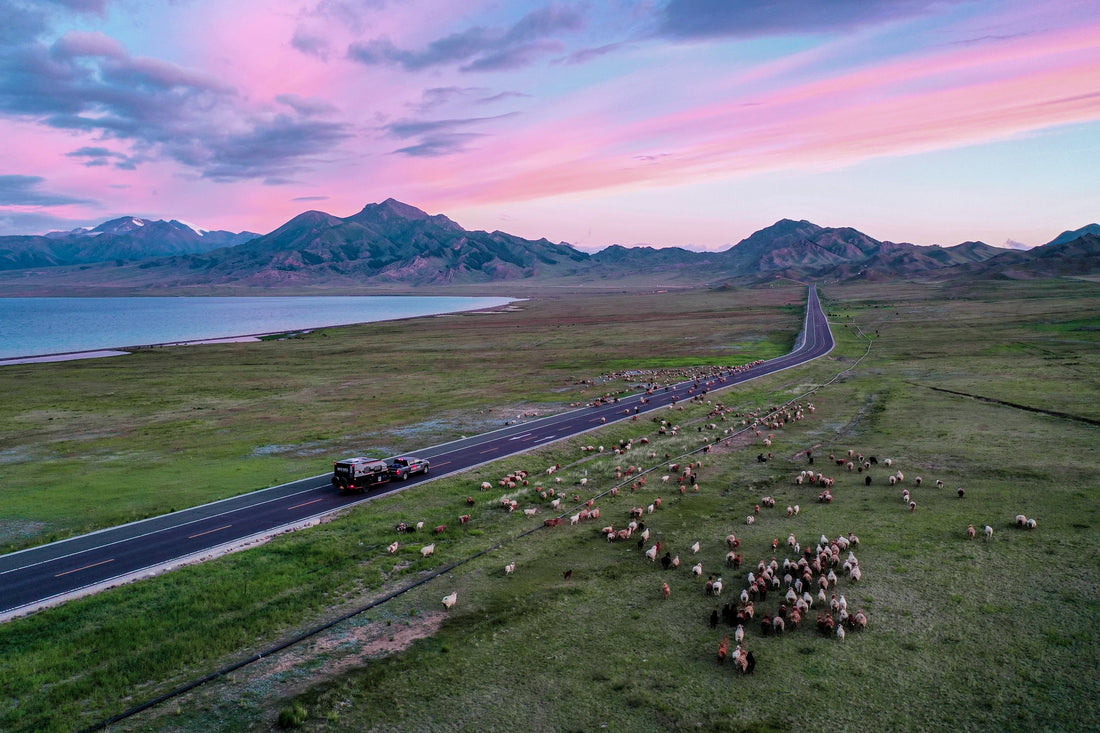 The Ultimate Guide to Finding Emergency Camper & RV Repair Near Me (2025)