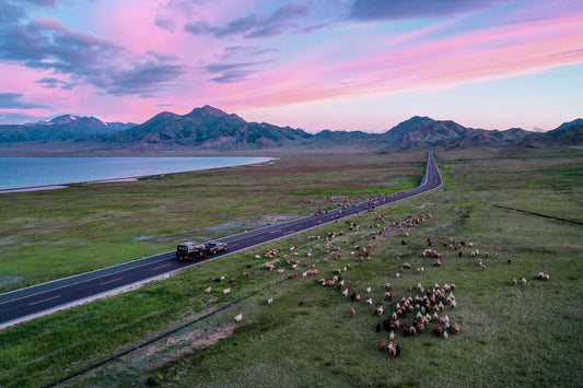 Black Series RV Maintenance Guide: Schedule & Repairs