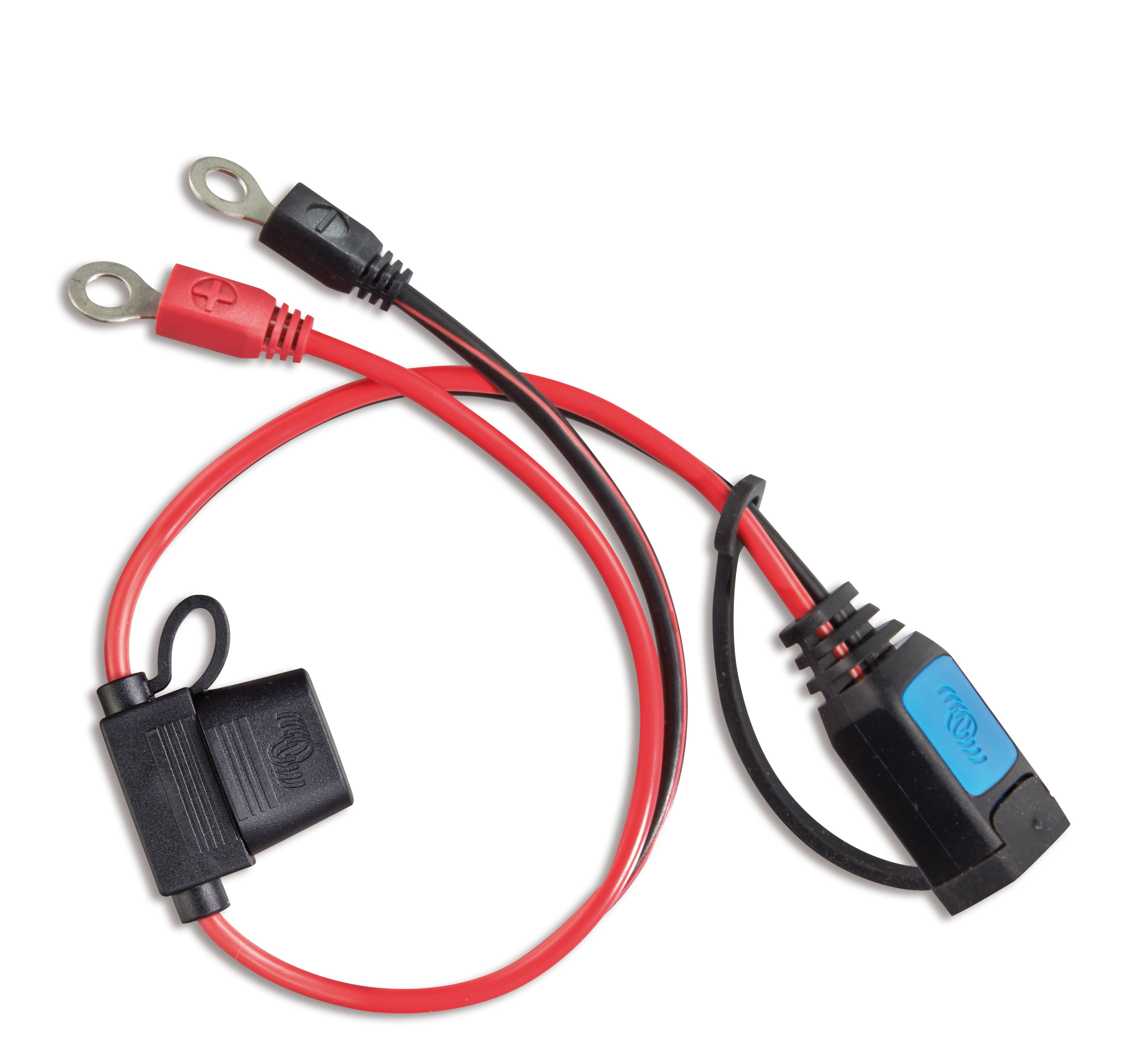 M6/M8 eyelet connector (with 30A ATO fuse) - Accessories for the Blue Smart IP65 Chargers