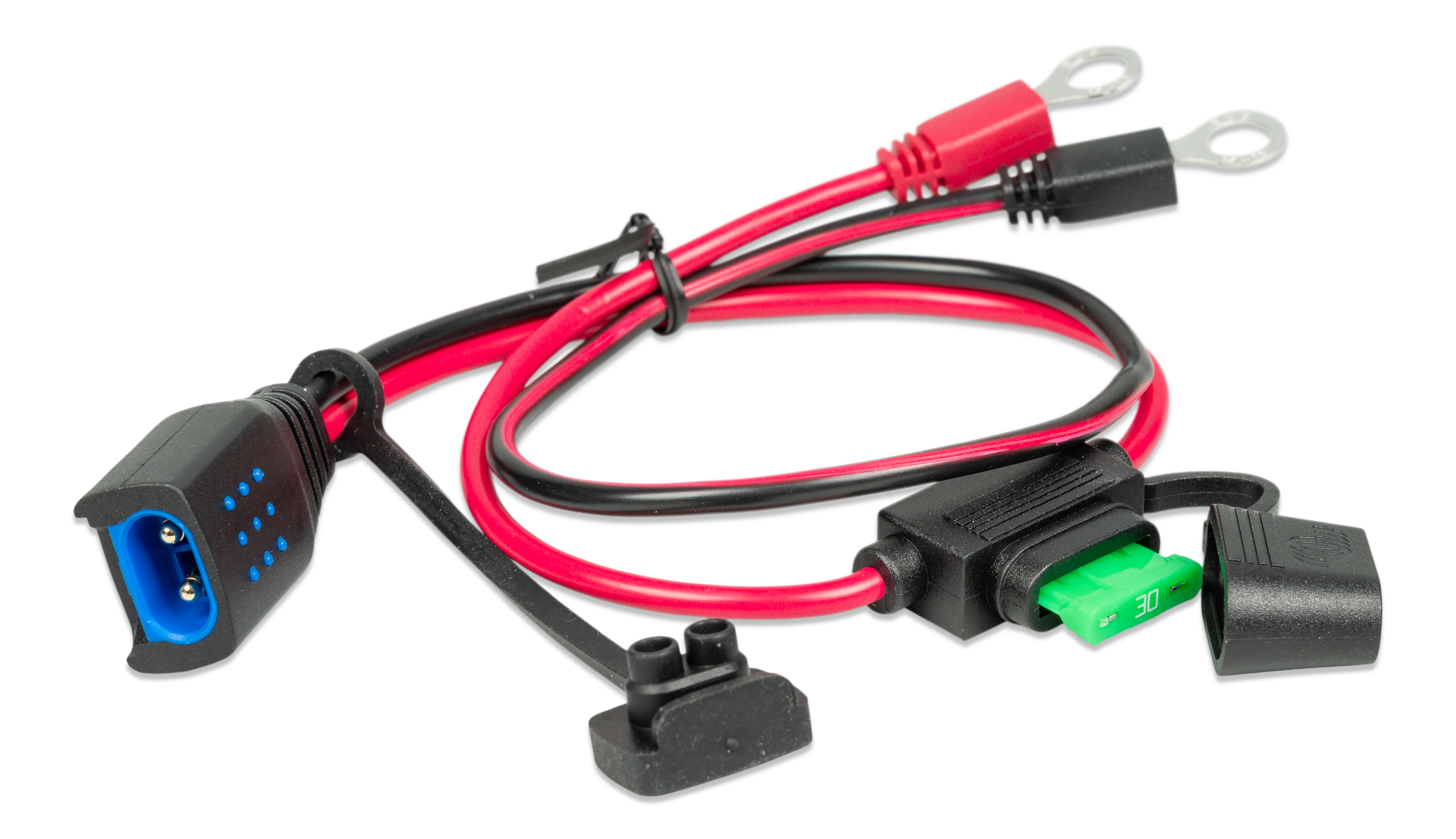 M6/M8 eyelet connector (with 30A ATO fuse) - Accessories for the Blue Smart IP65 Chargers